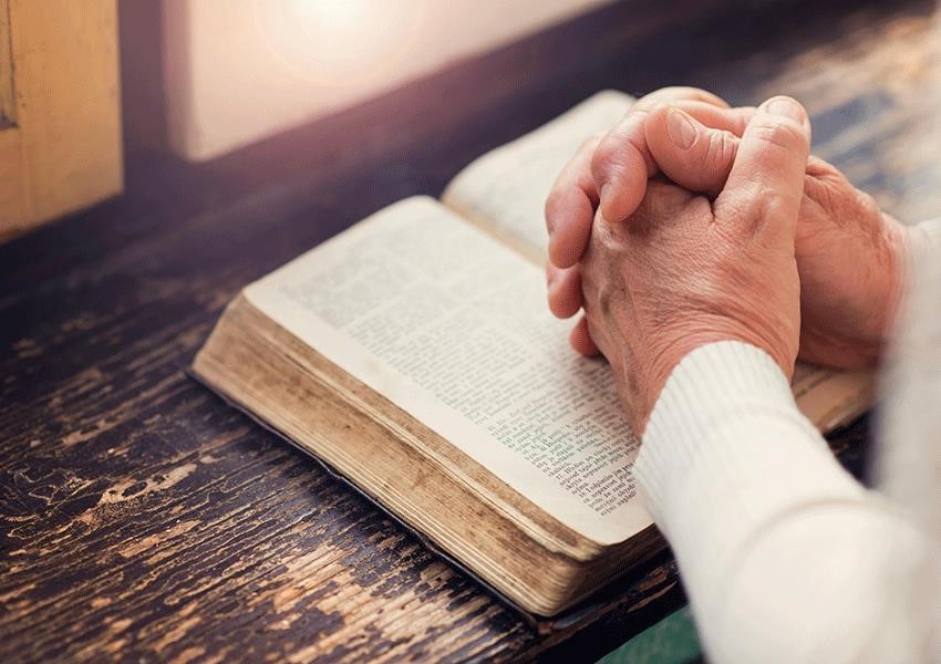 Mescaline Addiction Rehab ClinicDewitt MI