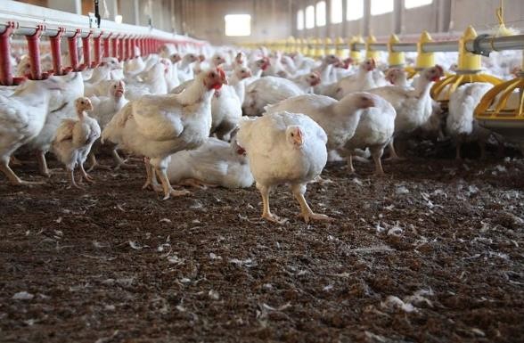 Vicoprofen Rehab FacilityRindge NH