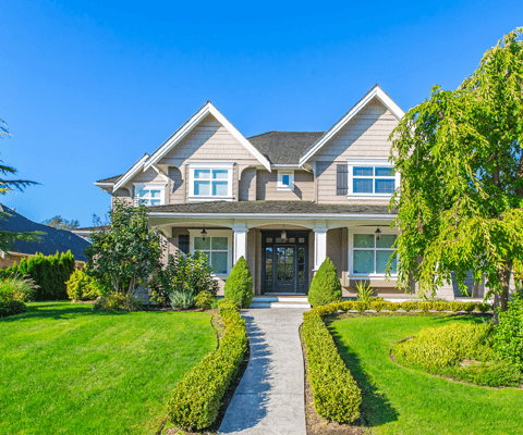 Laudanum AddictionRochester WA